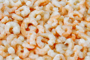 Harina Cooked Peeled Undeveined Tail On I.Q.F Shrimps